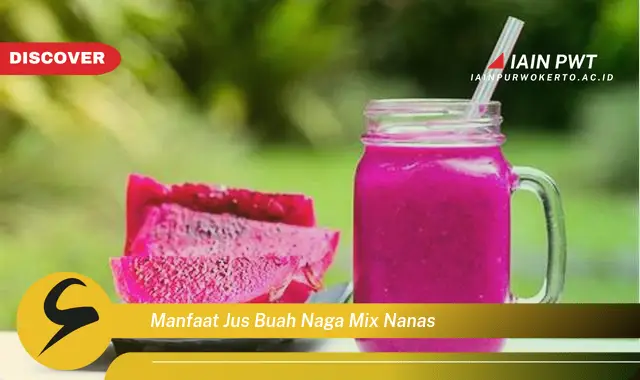 Ketahui 5 Manfaat Jus Buah Naga Mix Nanas yang Bikin Kamu Penasaran - Discover