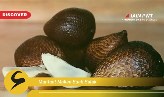 manfaat makan buah salak