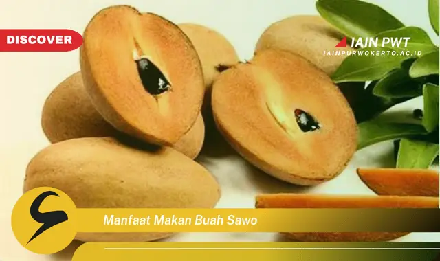 manfaat makan buah sawo