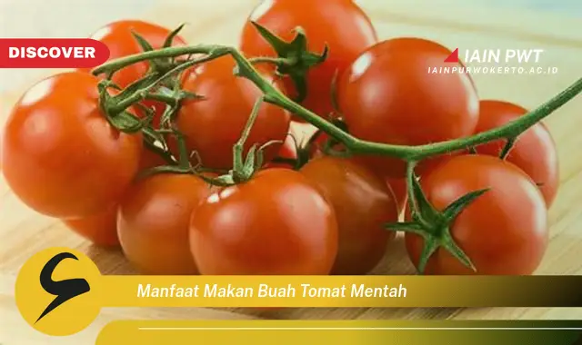 manfaat makan buah tomat mentah