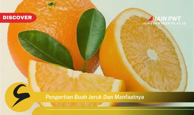 pengertian buah jeruk dan manfaatnya