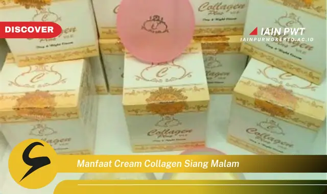 manfaat cream collagen siang malam