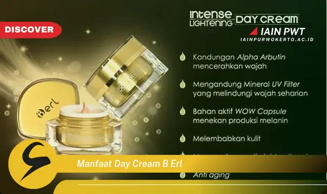 manfaat day cream b erl