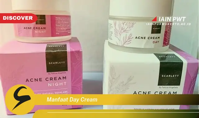 manfaat day cream