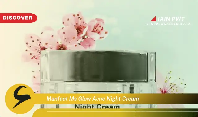 manfaat ms glow acne night cream