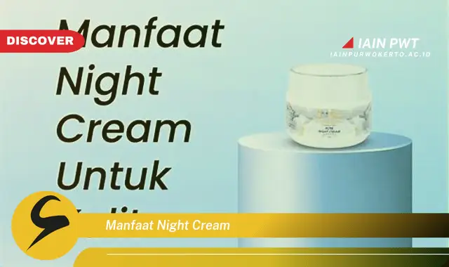 manfaat night cream