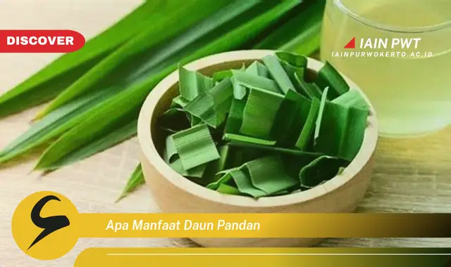 apa manfaat daun pandan