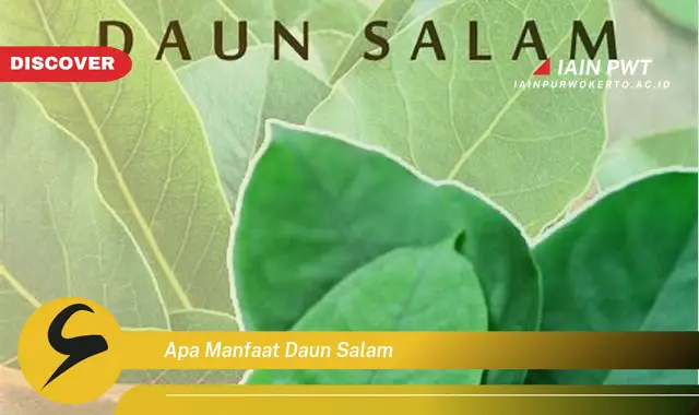 apa manfaat daun salam