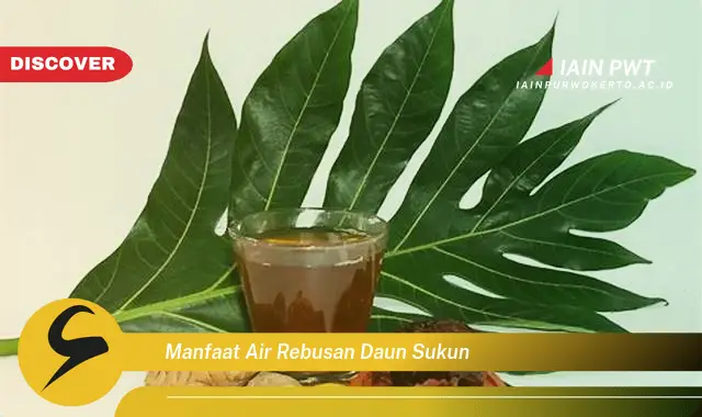 manfaat air rebusan daun sukun