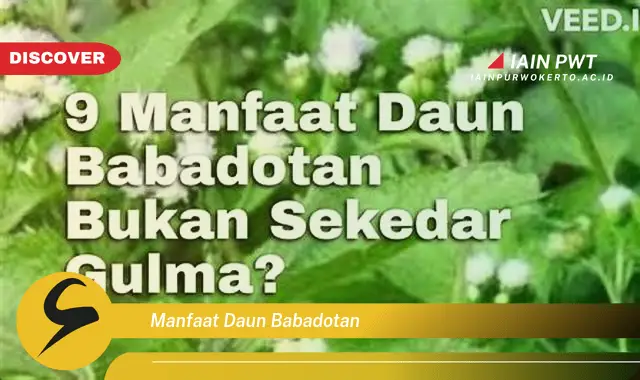 manfaat daun babadotan