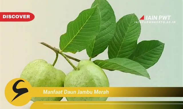 manfaat daun jambu merah