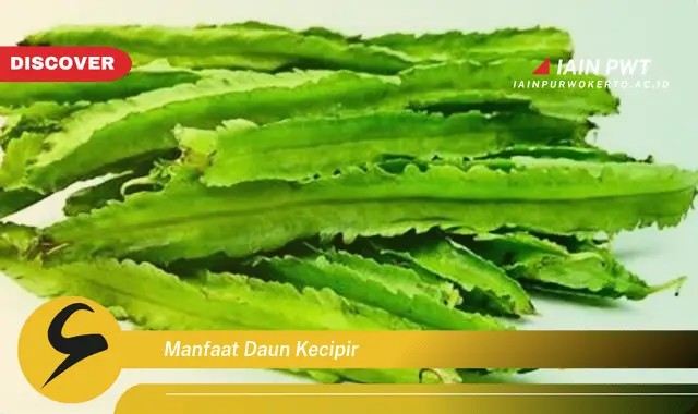 manfaat daun kecipir