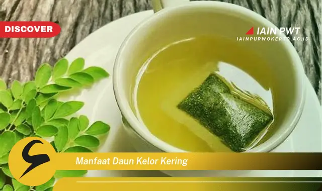 manfaat daun kelor kering