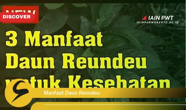 manfaat daun reundeu