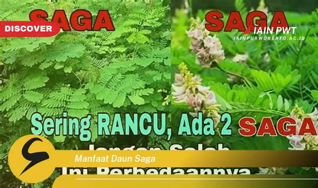 manfaat daun saga