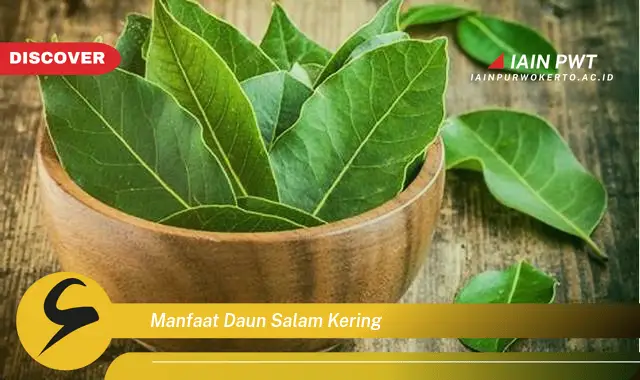 manfaat daun salam kering