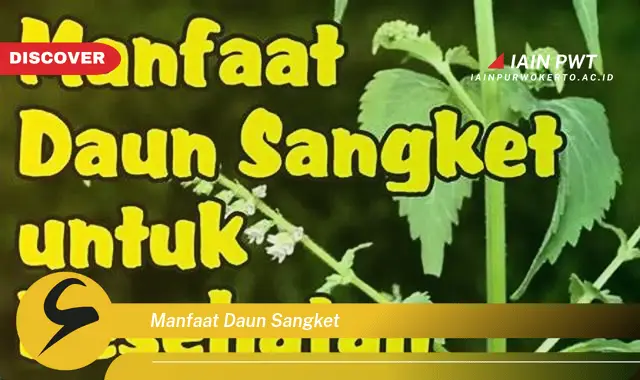 manfaat daun sangket