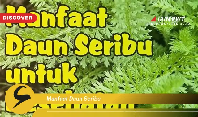 manfaat daun seribu