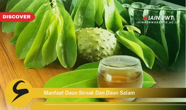 manfaat daun sirsak dan daun salam