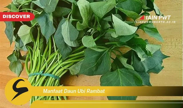 manfaat daun ubi rambat