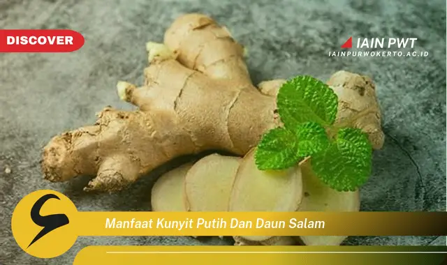 manfaat kunyit putih dan daun salam