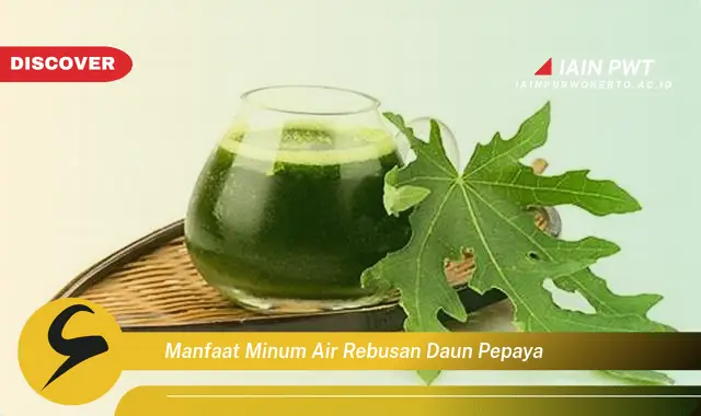 manfaat minum air rebusan daun pepaya