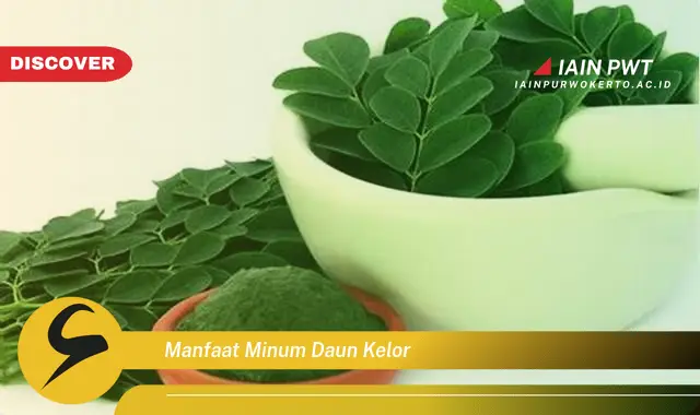 manfaat minum daun kelor