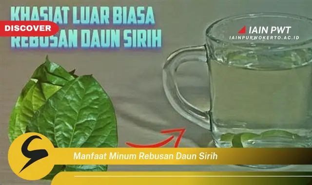 manfaat minum rebusan daun sirih