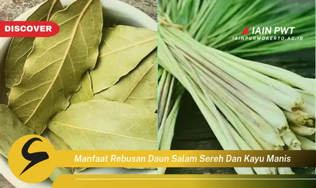 manfaat rebusan daun salam sereh dan kayu manis