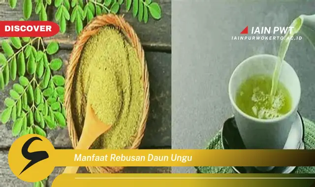 manfaat rebusan daun ungu