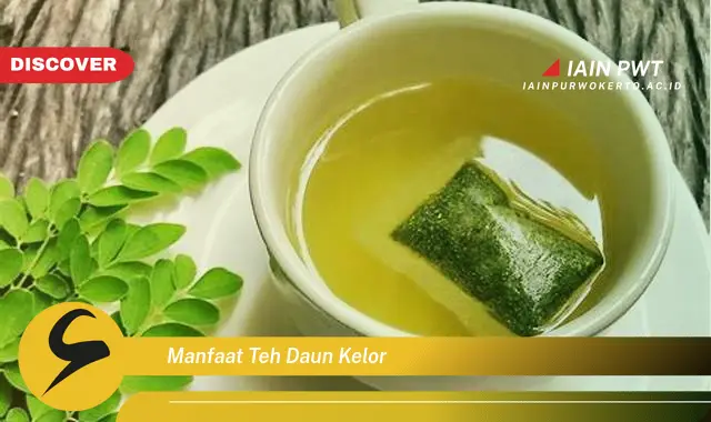 manfaat teh daun kelor