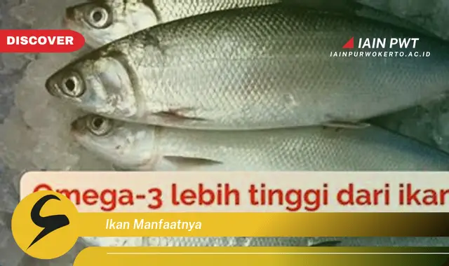 ikan manfaatnya