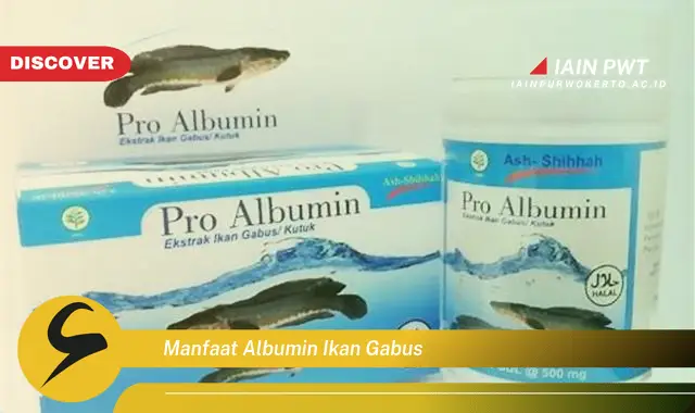 manfaat albumin ikan gabus