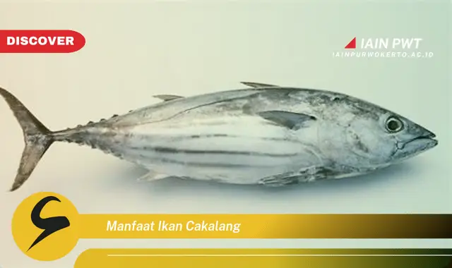 manfaat ikan cakalang