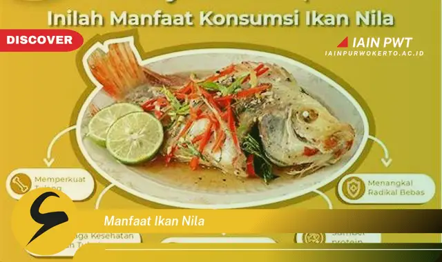 manfaat ikan nila