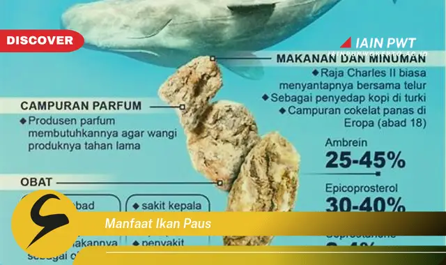 manfaat ikan paus