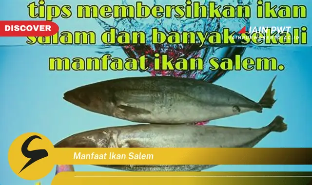 manfaat ikan salem