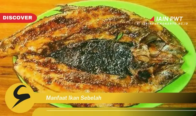 manfaat ikan sebelah