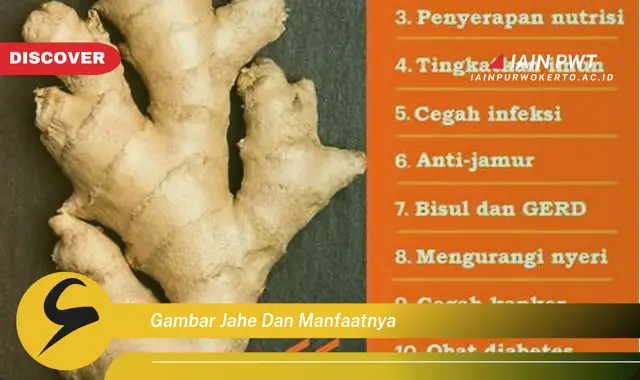 gambar jahe dan manfaatnya