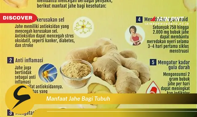 manfaat jahe bagi tubuh