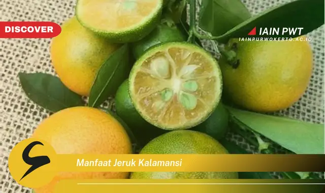 manfaat jeruk kalamansi