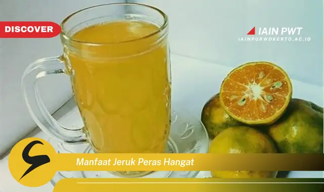 manfaat jeruk peras hangat