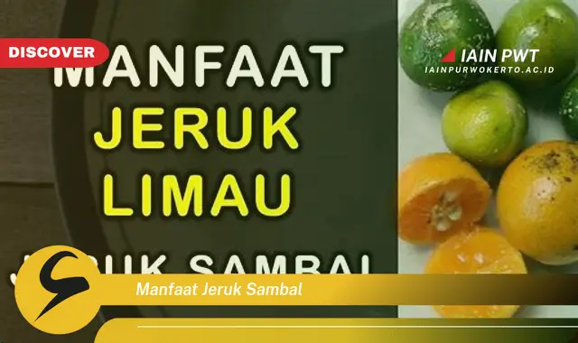 manfaat jeruk sambal