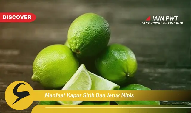 manfaat kapur sirih dan jeruk nipis