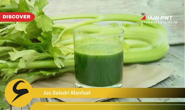 jus seledri manfaat