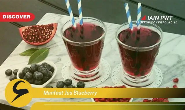 manfaat jus blueberry