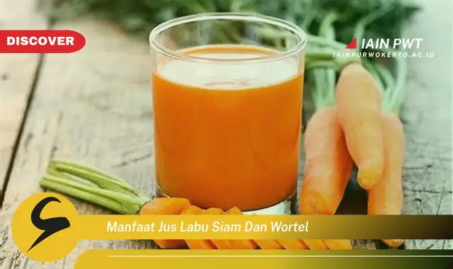 manfaat jus labu siam dan wortel