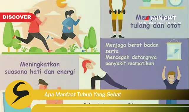 apa manfaat tubuh yang sehat
