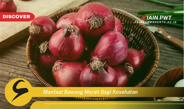 manfaat bawang merah bagi kesehatan