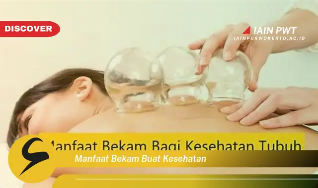 manfaat bekam buat kesehatan